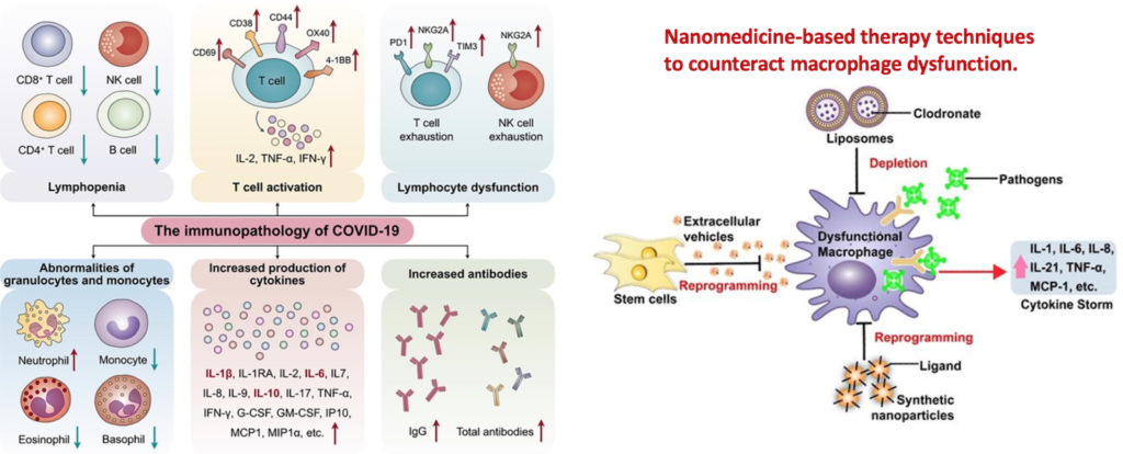 Publications – Gavande Lab